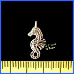 Charm HIPPOCAMPE