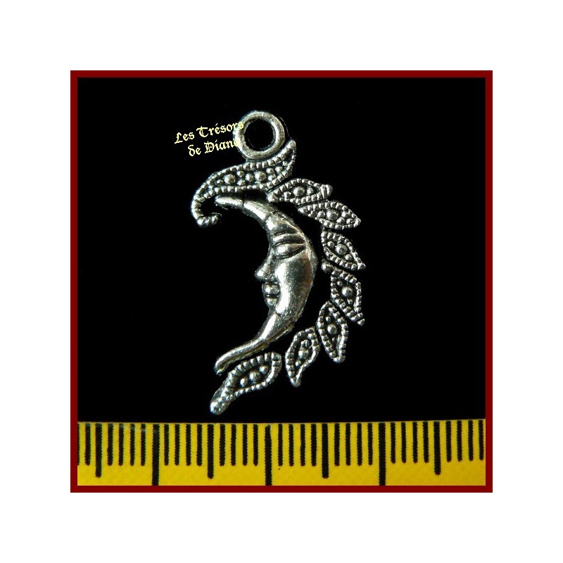 Charm LUNE VENITIENNE Charm LUNE VENITIENNE