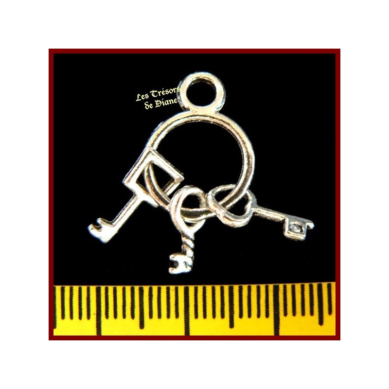 Charm TROUSSEAU DE CLEFS bi-face