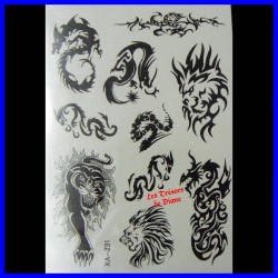 Tatouages éphémères FELINS ET DRAGONS