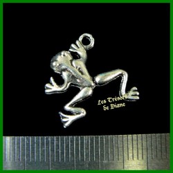 Charm GRENOUILLE 3D bi-face