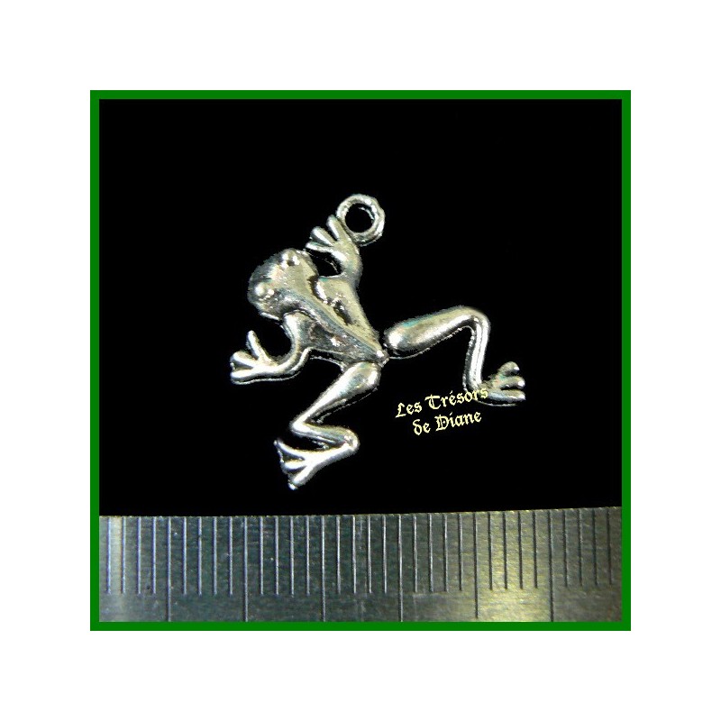 Charm GRENOUILLE 3D bi-face Charm GRENOUILLE 3D bi-face