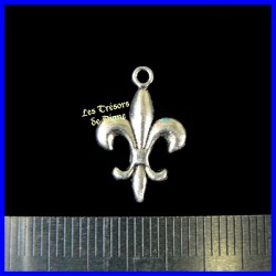 Charm FLEUR DE LYS