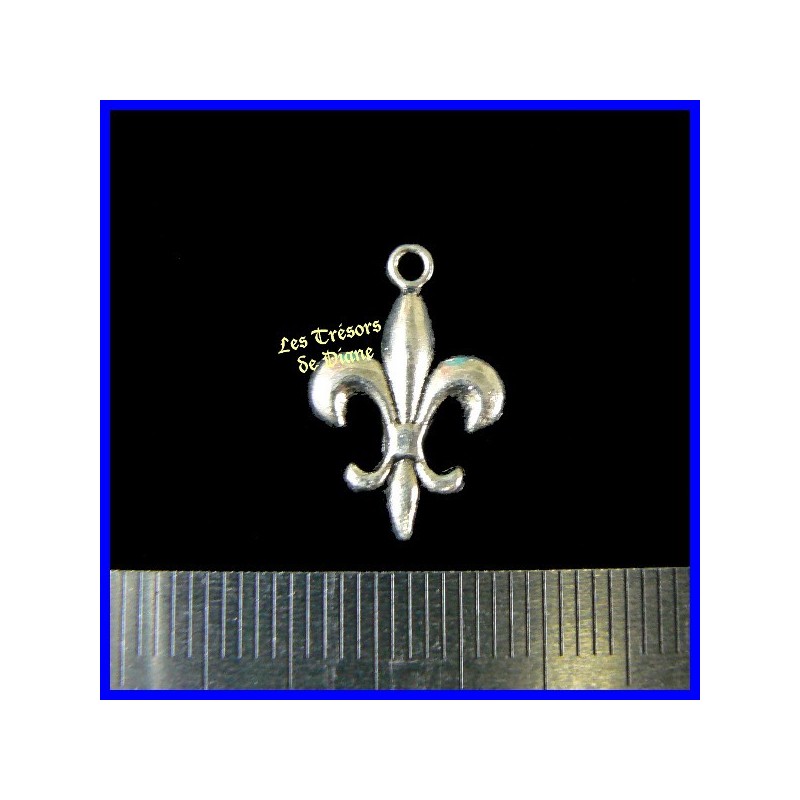 Charm FLEUR DE LYS