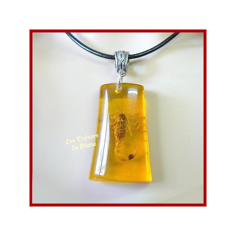 Collier SCORPION jaune véritable du désert Collier SCORPION jaune véritable du désert