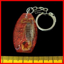 Porte-clefs "scorpion" véritable sur paillettes rouges