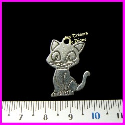 Charm CHAT DISNEY bi-face