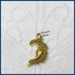 Charm LUNE VENITIENNE