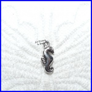 Charm PETIT HIPPOCAMPE bi-face