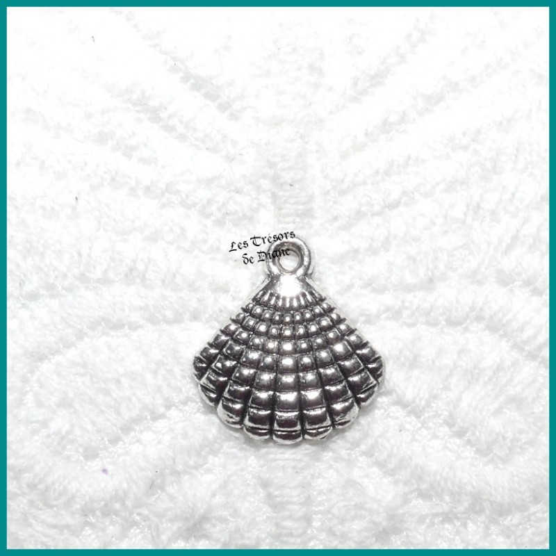 Charm COQUILLE SAINT-JACQUES Charm COQUILLE SAINT-JACQUES