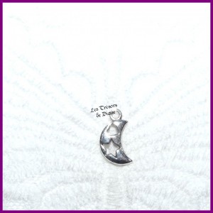 Charm LUNE ETOILEE bi-face