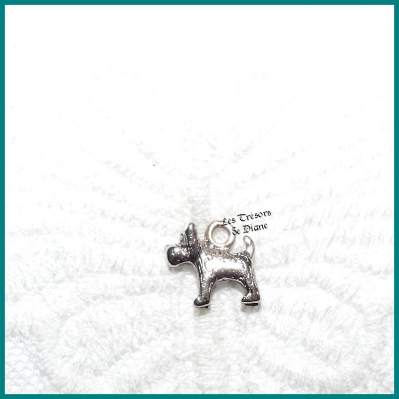 Charm CHIEN CESAR 3D bi-face