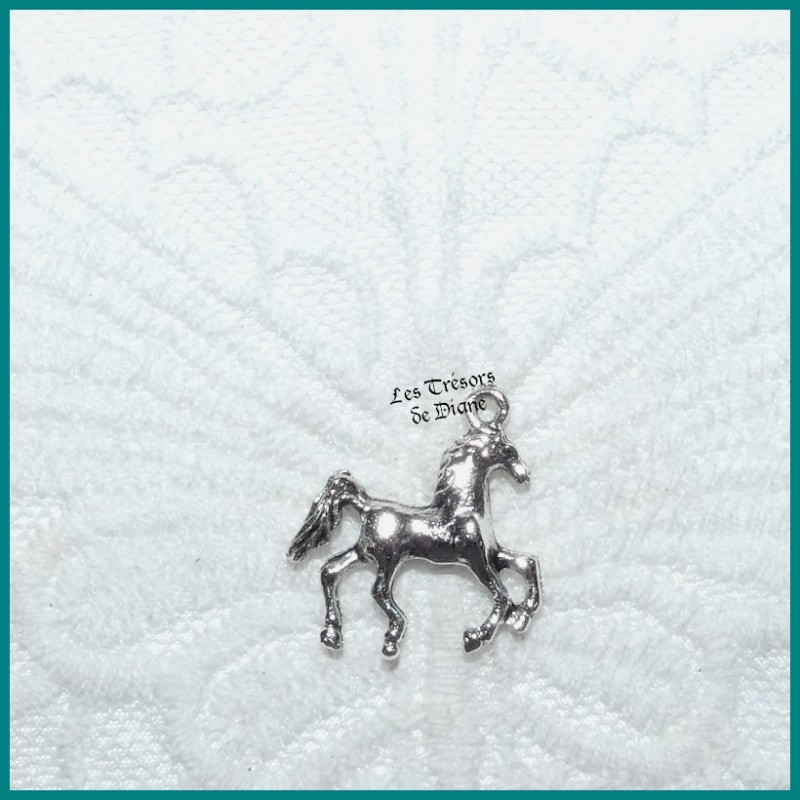 Charm CHEVAL ELEGANCE 3D bi-face