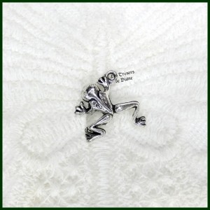 Charm GRENOUILLE 3D bi-face LES TRESORS DE DIANE