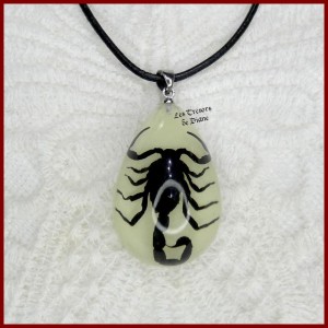 Pendentif SCORPION ROYAL du désert véritable