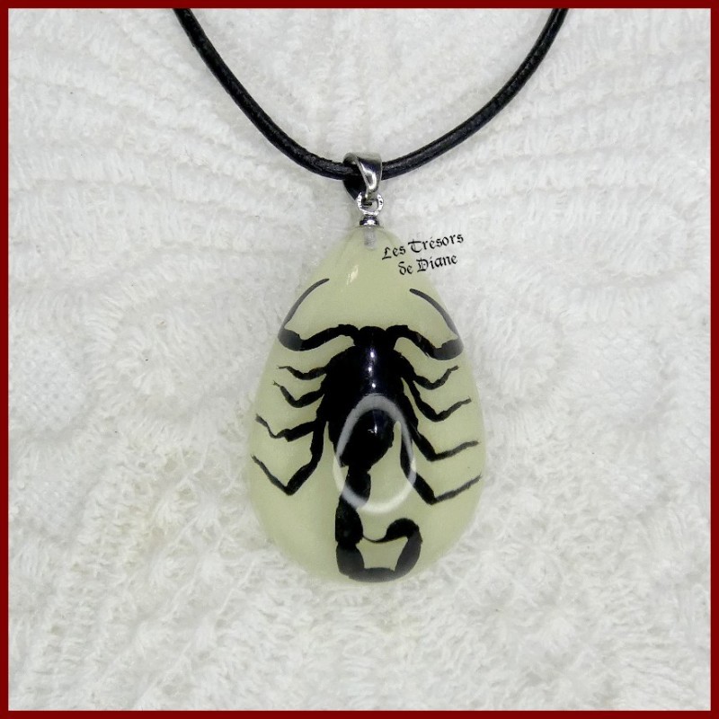 Pendentif SCORPION ROYAL du désert véritable